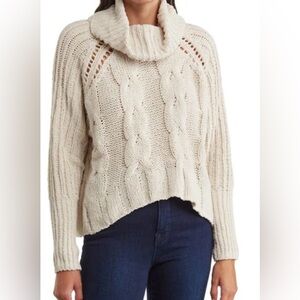 DR2 by Daniel Rainn Cream Cable Knit Turtleneck Sweater